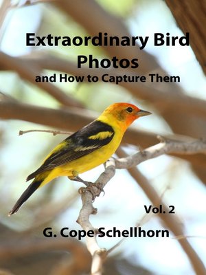 cover image of Extraordinary Bird Photos and How to Capture Them Volume 2